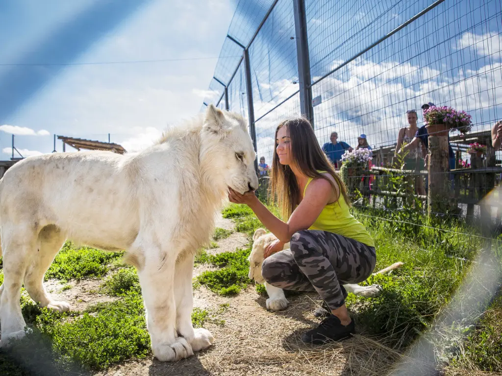 夏日限定|斯洛伐克旅遊 contact zoo