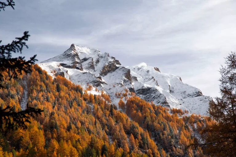 【2026最新】不用等聖誕節!10月初就能滑雪,奧地利親子滑雪完整攻略 europ in fall